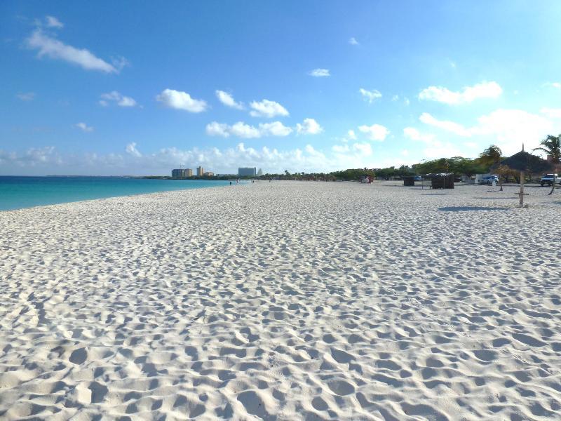 Mvc Eagle Beach Palm Beach Eksteriør billede