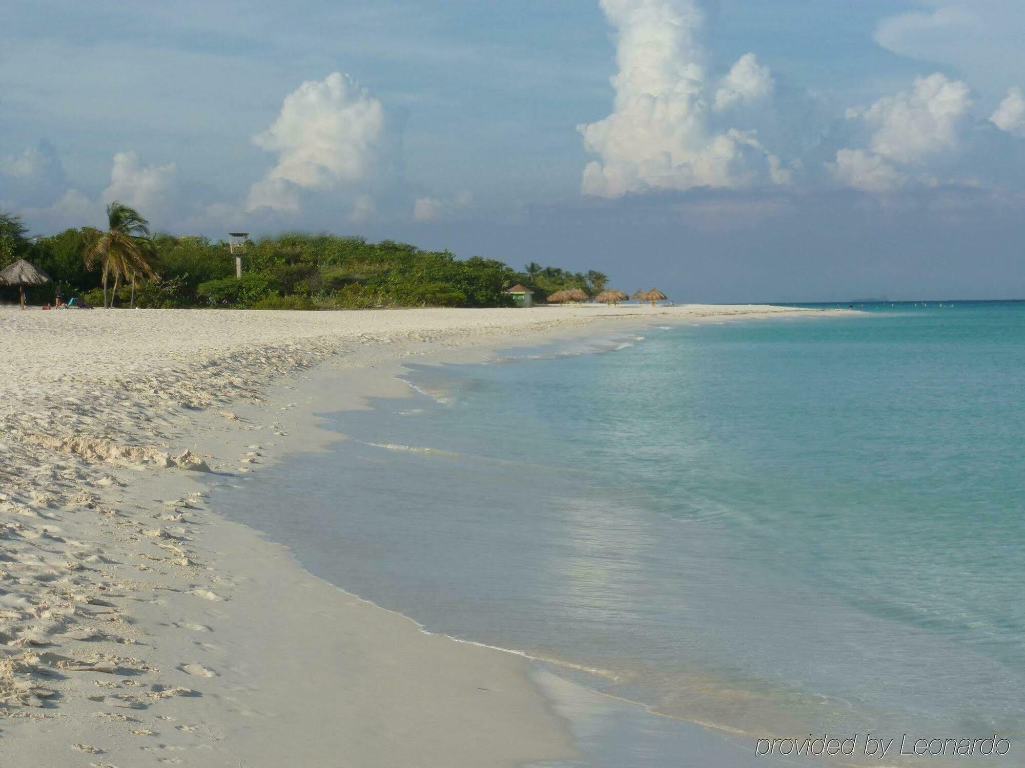 Mvc Eagle Beach Palm Beach Eksteriør billede